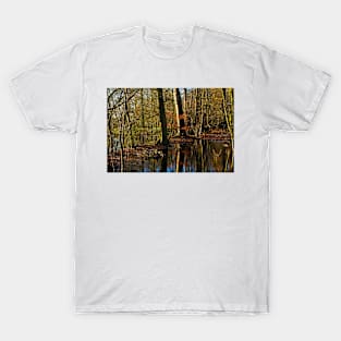 Flooded woodland T-Shirt